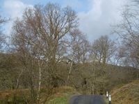 Loch Chon, Aberfoyle